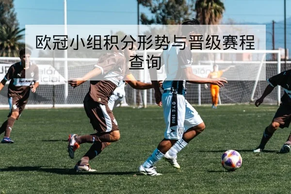 LPL季后赛出征名单与选手BP轮换查询